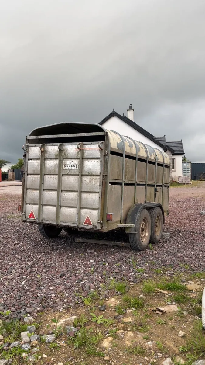 Nugent cattle trailer - Image 3