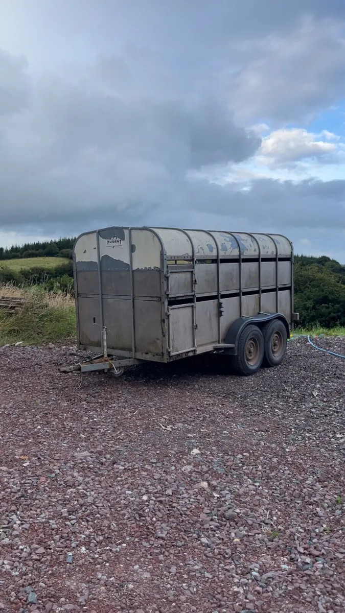 Nugent cattle trailer - Image 1