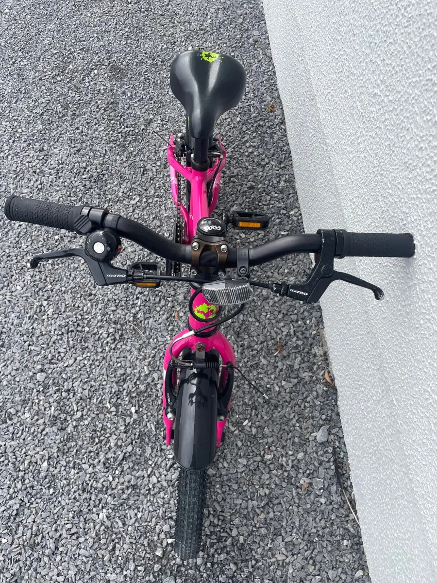 Frog Bike 44 - Image 2