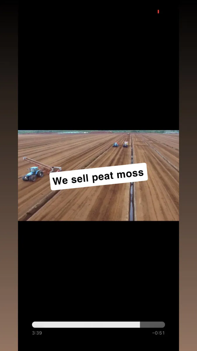 WE SELL PEAT MOSS WORLDWIDE - Image 2