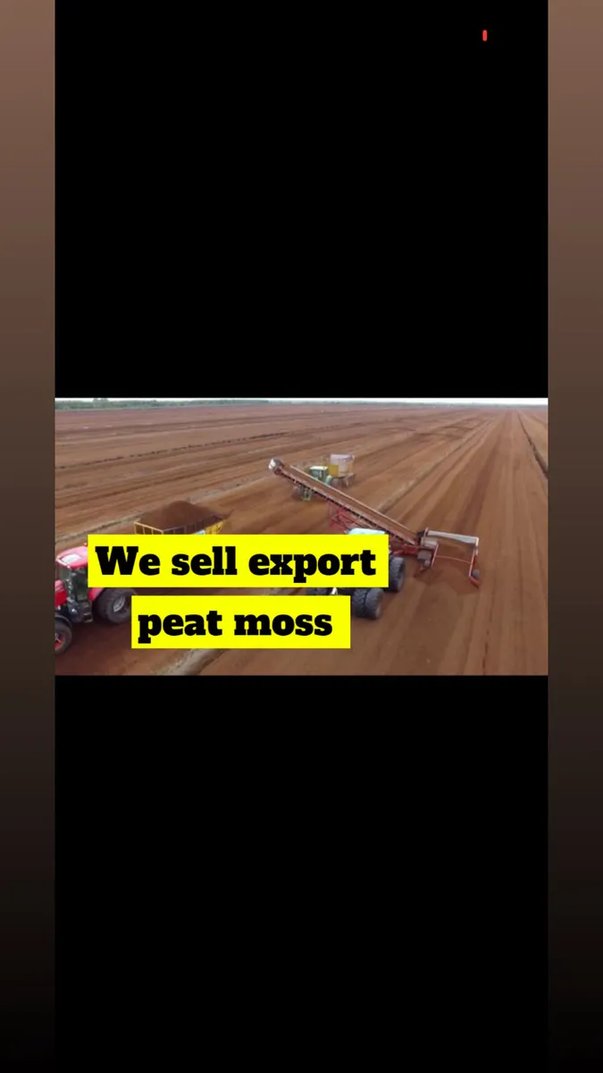 WE SELL PEAT MOSS WORLDWIDE - Image 1