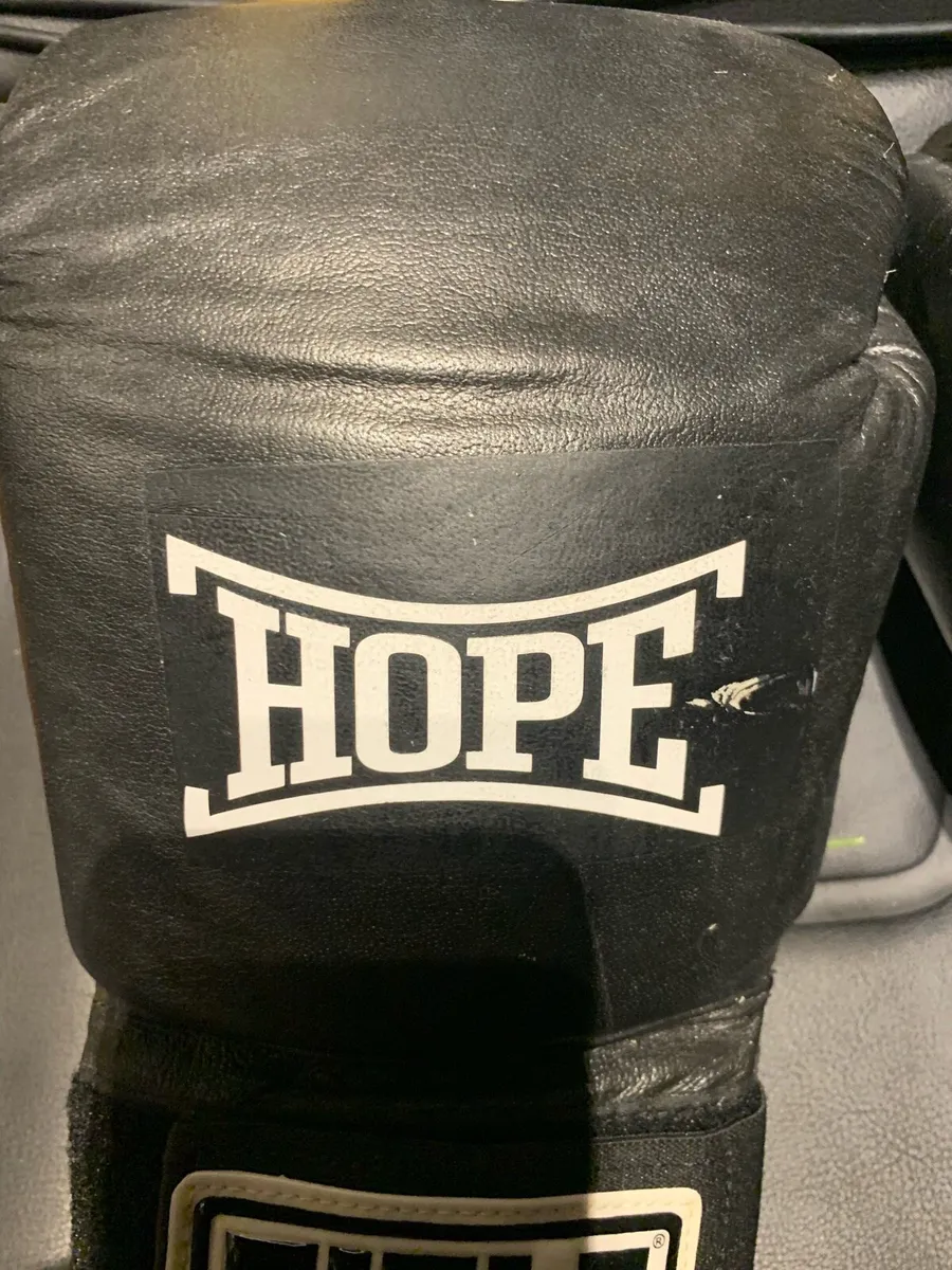 Boxing gloves southpaw movie - Image 3