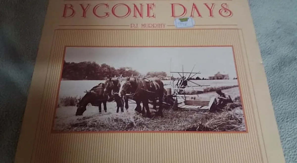 RARE 9 Irish Collection Vinyl albums..mint - Image 4