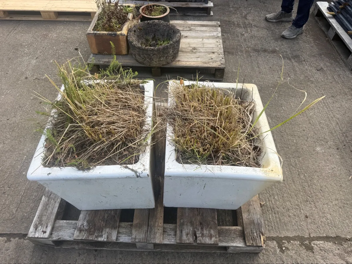 Pair old sinks for garden. - Image 3
