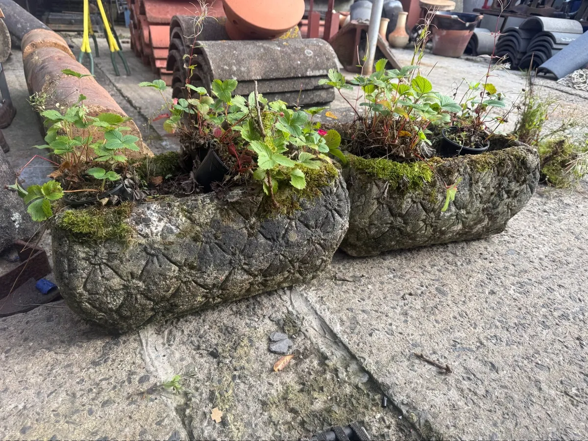 A pair very old weathered concrete troughs . - Image 1