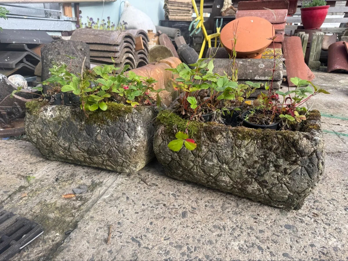 A pair very old weathered concrete troughs . - Image 2
