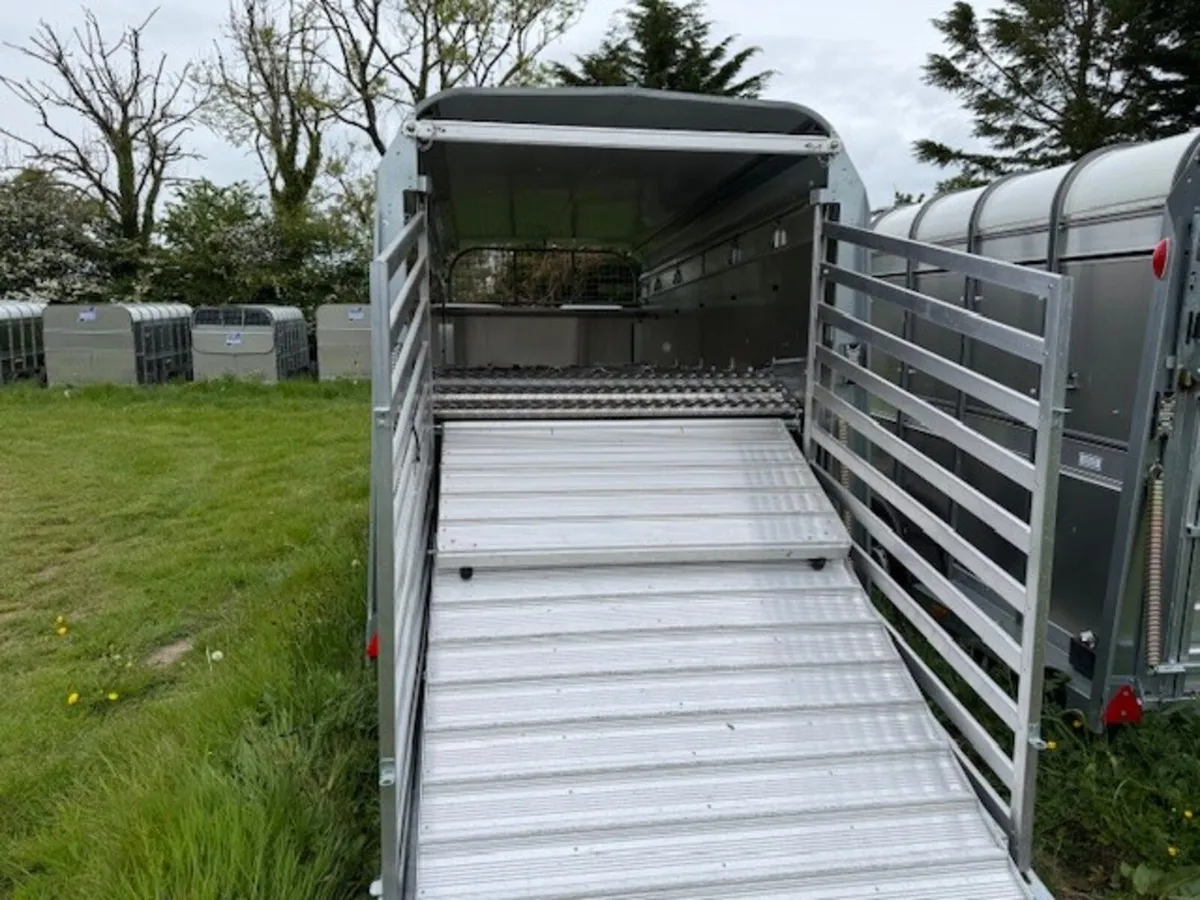 T3049359 Sprcial Offer TA5 12 x 5 x6 Ifor Williams - Image 4