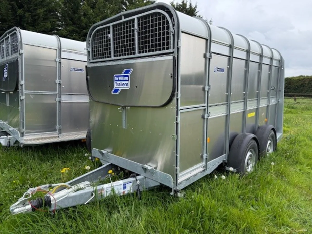 T3049359 Sprcial Offer TA5 12 x 5 x6 Ifor Williams - Image 1