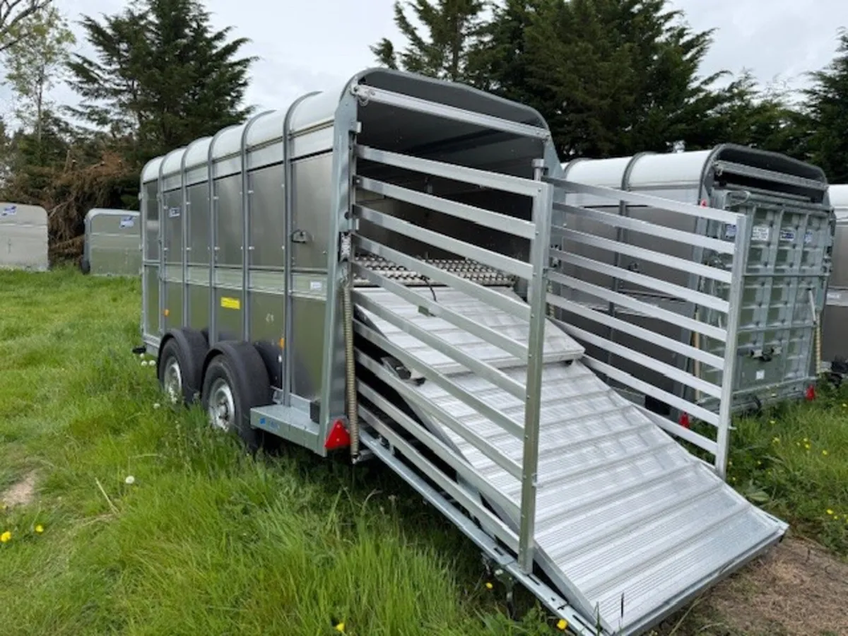 T3049359 Sprcial Offer TA5 12 x 5 x6 Ifor Williams - Image 3