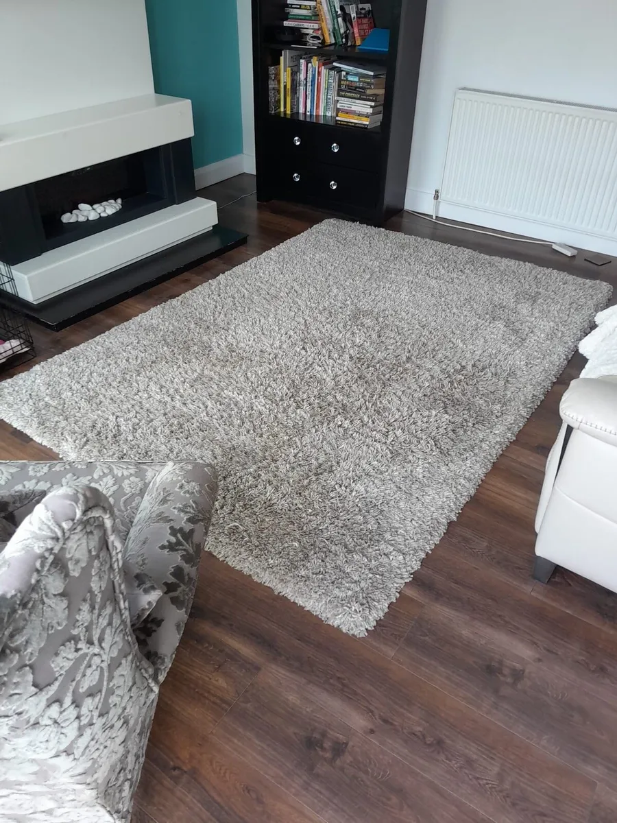 Large Rug - Image 1