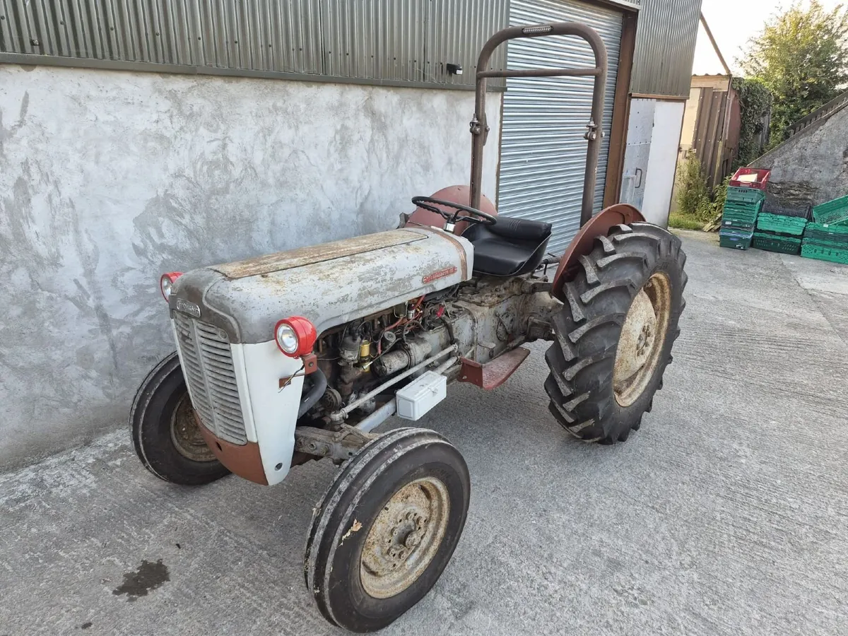 Massey Ferguson 35 Petrol Goldbelly - Image 3