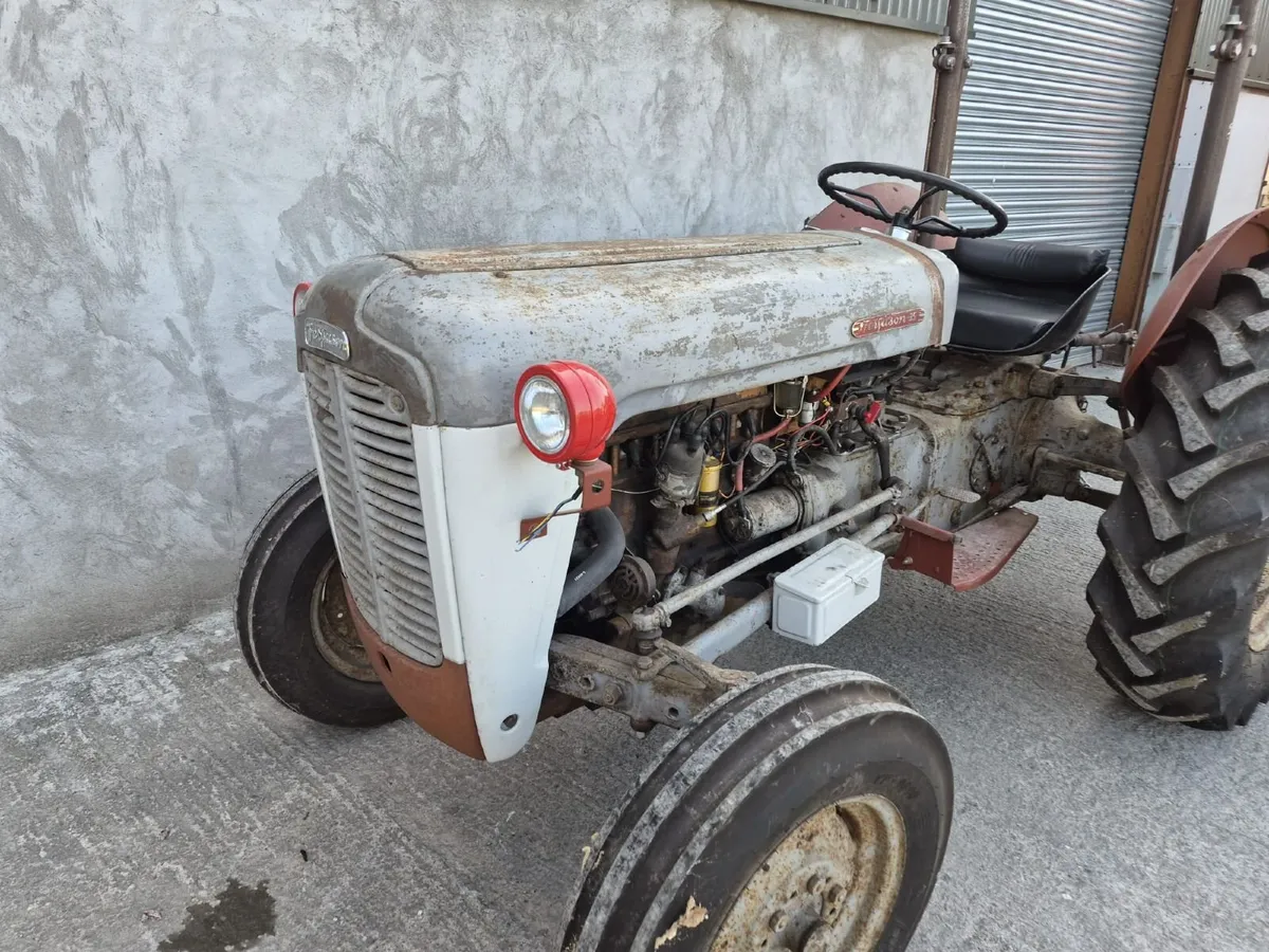 Massey Ferguson 35 Petrol Goldbelly - Image 4