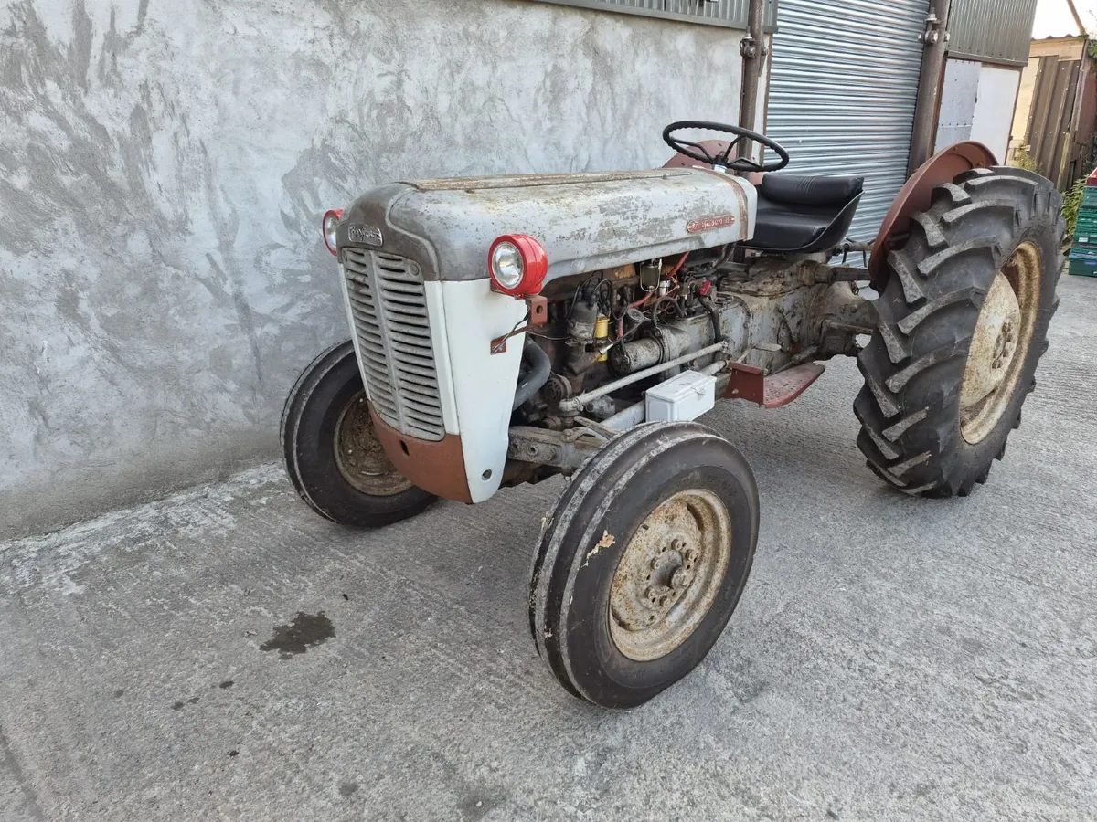 Massey Ferguson 35 Petrol Goldbelly - Image 2