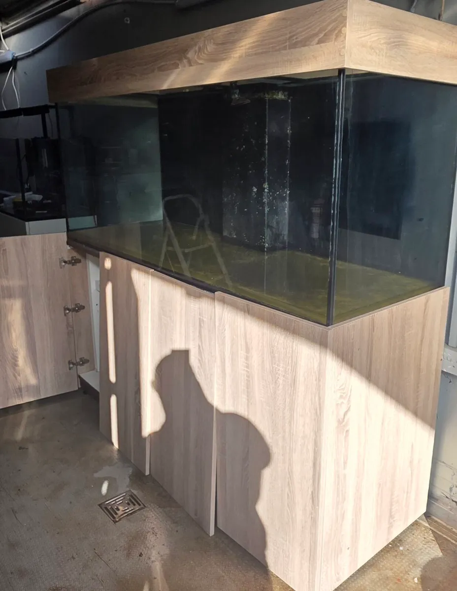 1000 liter tank and sump - Image 1