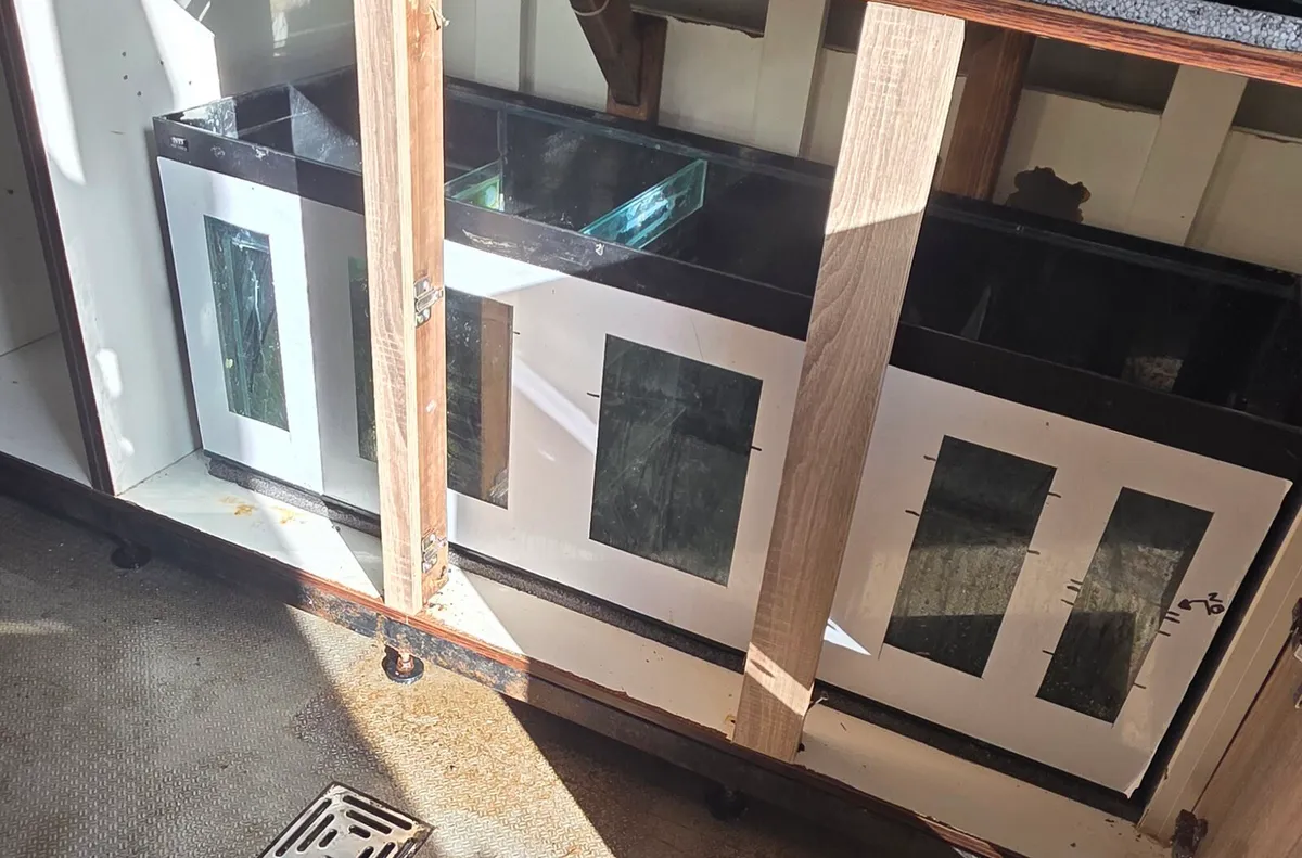1000 liter tank and sump - Image 2