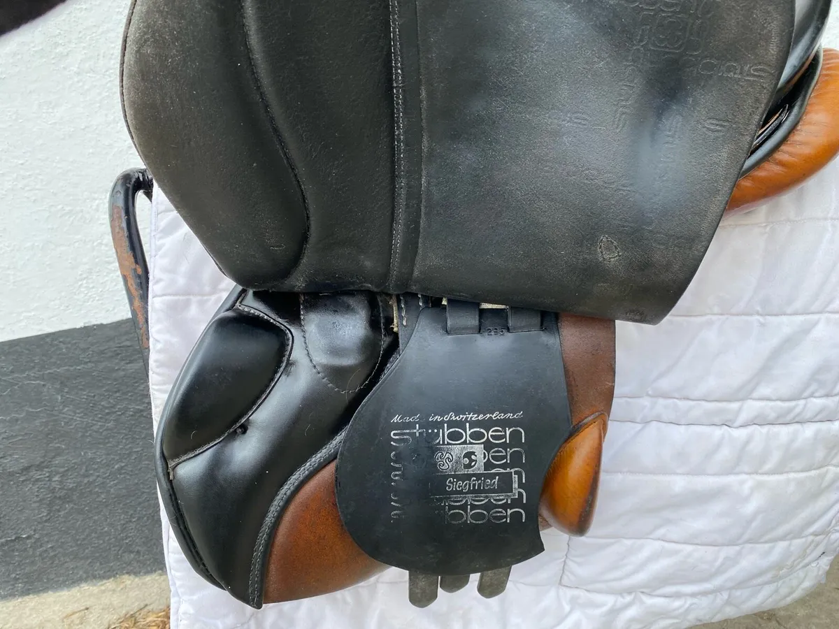Stubben Siegfried CS for sale - Image 2
