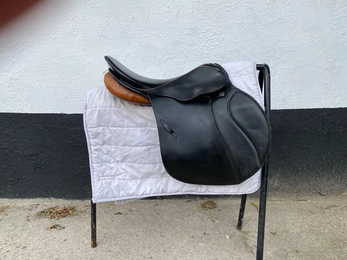 Stubben Siegfried CS for sale - Image 4