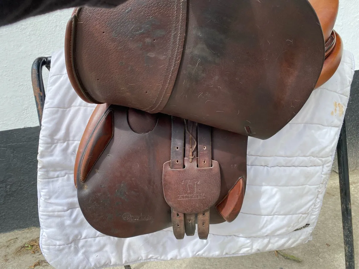 Antares jumping saddle 17” for sale - Image 2