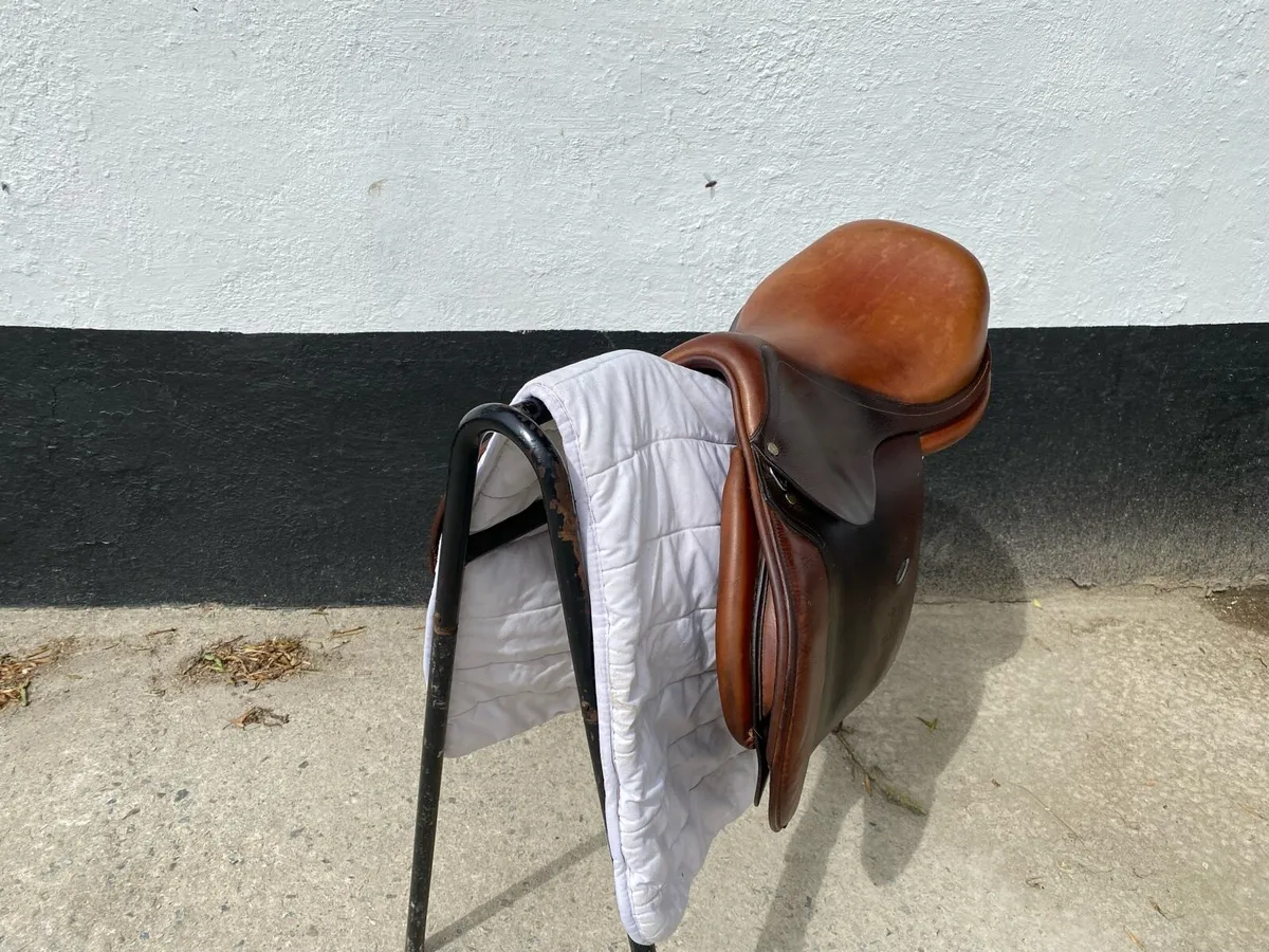 Antares jumping saddle 17” for sale - Image 3