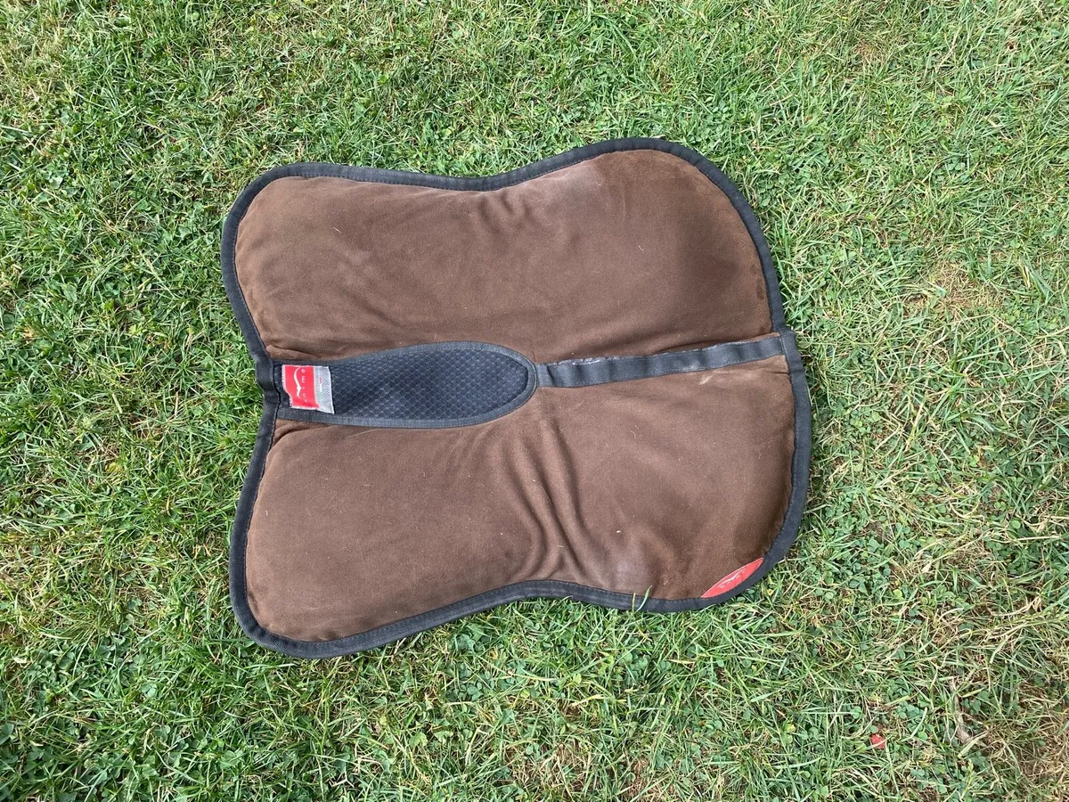 Animo half pad for sale - Image 2