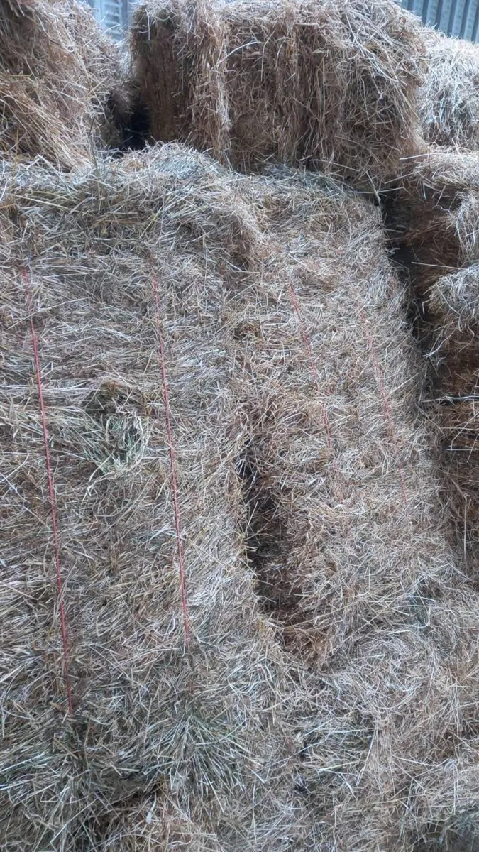 Quality Square and Round Bales of Hay - Image 3