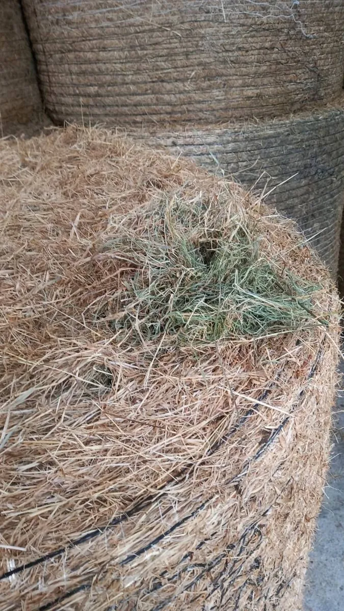 Quality Square and Round Bales of Hay - Image 1