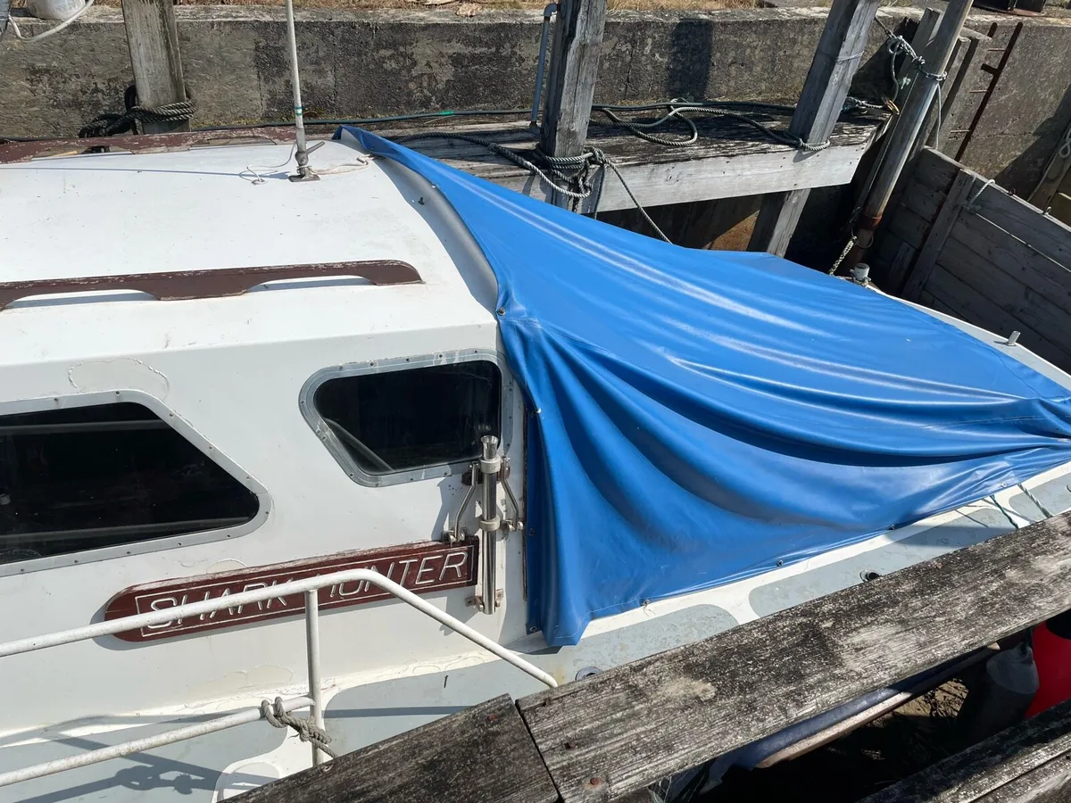 Sea Angling Boat - Image 3