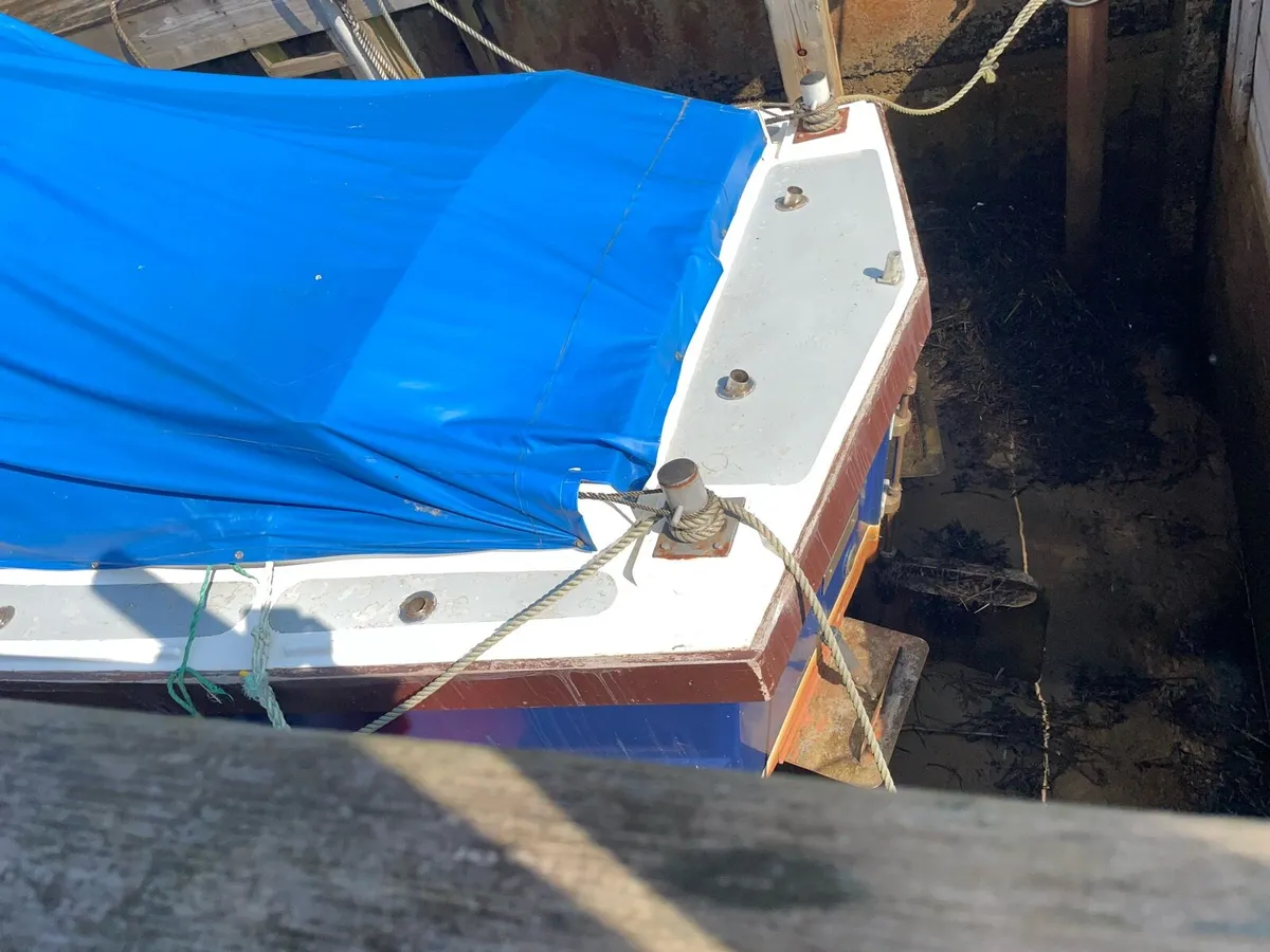 Sea Angling Boat - Image 4