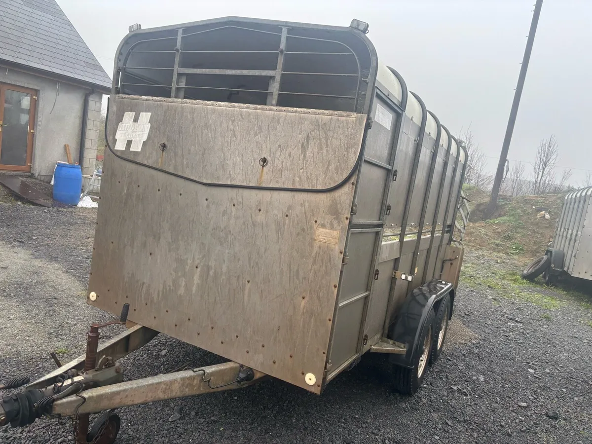12x6 Hudson livestock trailers, choice of two - Image 4