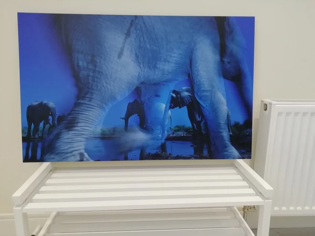 Fine Art Award Winning Wildlife Print - Image 4