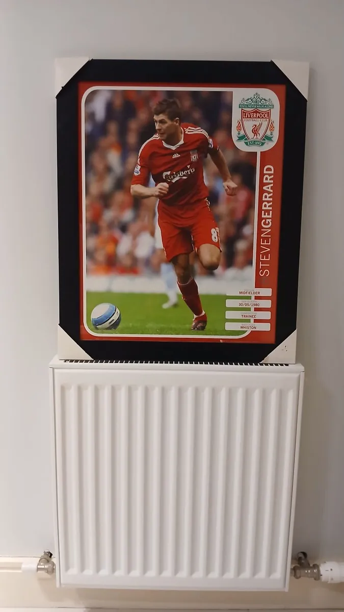 Steven Gerrard Liverpool F.C. Framed Picture - Image 1