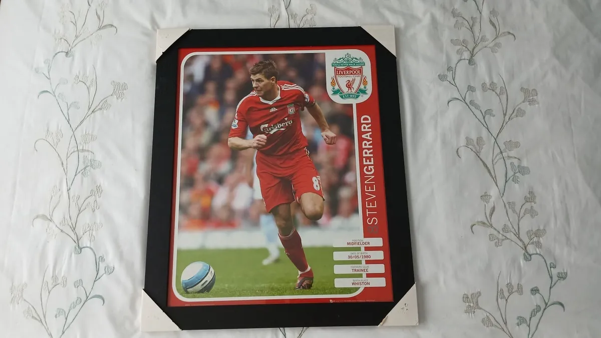 Steven Gerrard Liverpool F.C. Framed Picture - Image 4