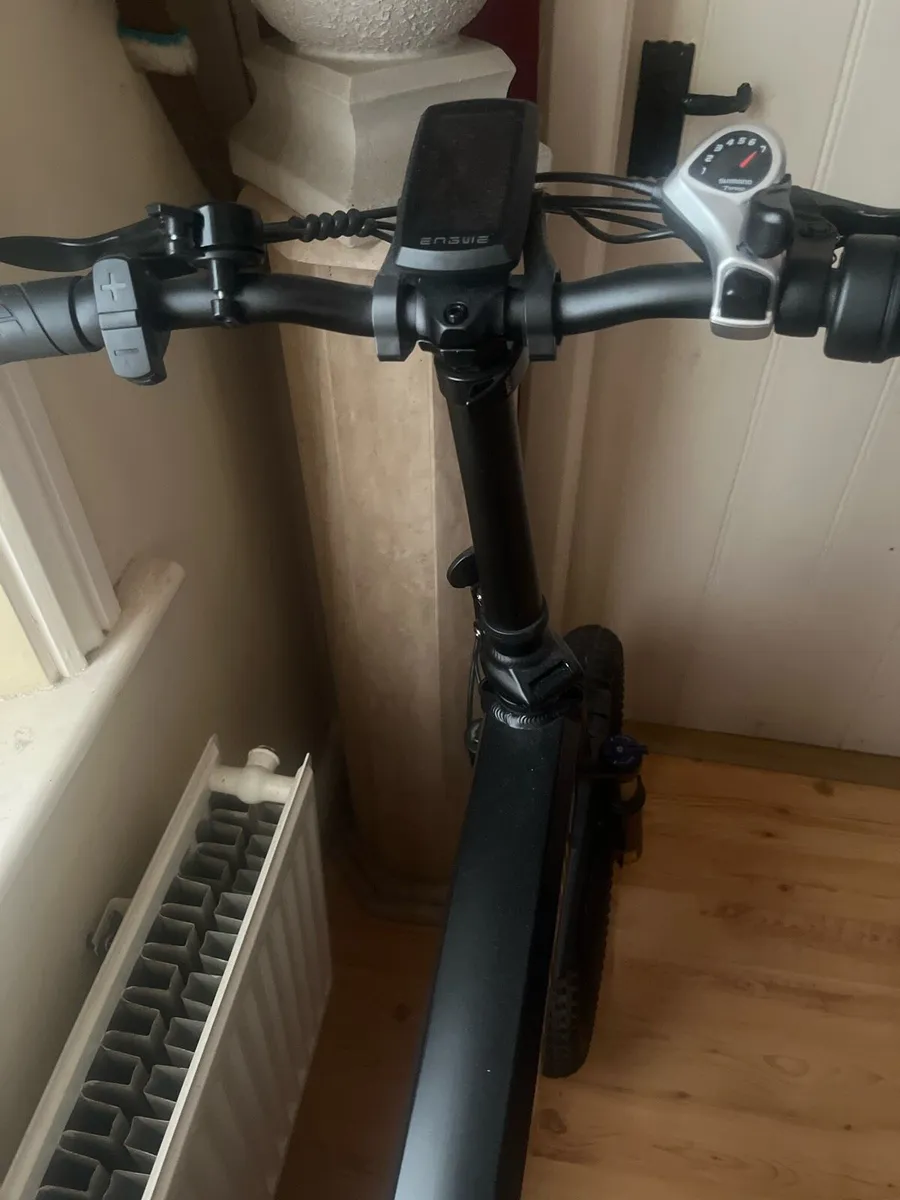 Electric bike - Image 2
