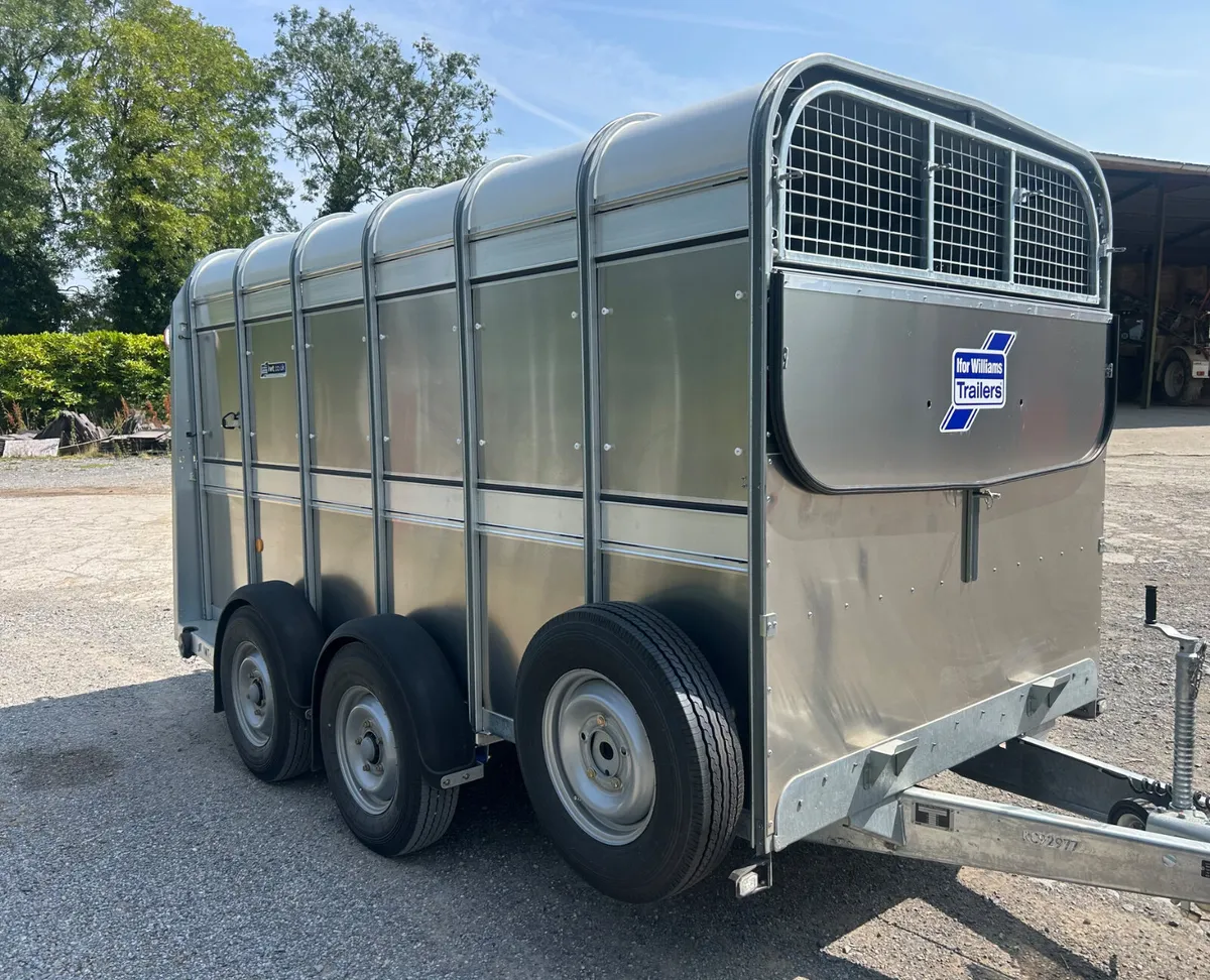New Ifor Williams 12x6 Livedtovk Trailer - Image 2