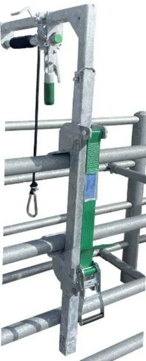 Leg hoist
