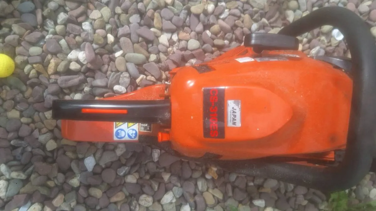 Echo chainsaw - Image 1