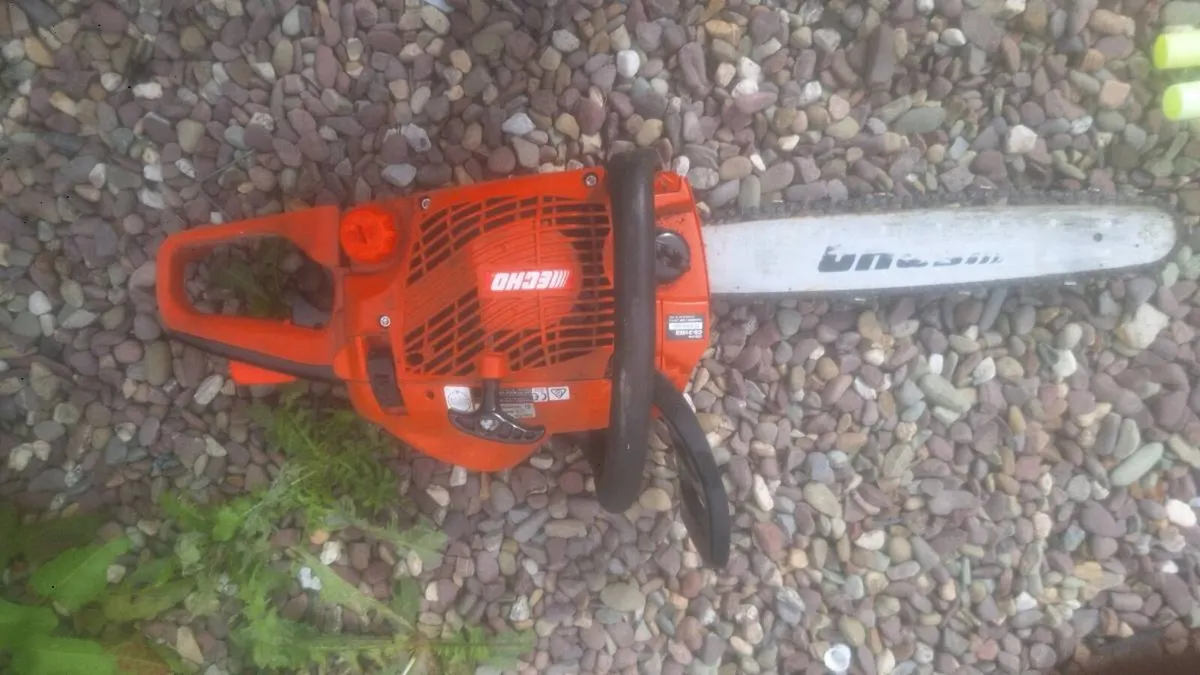 Echo chainsaw - Image 2