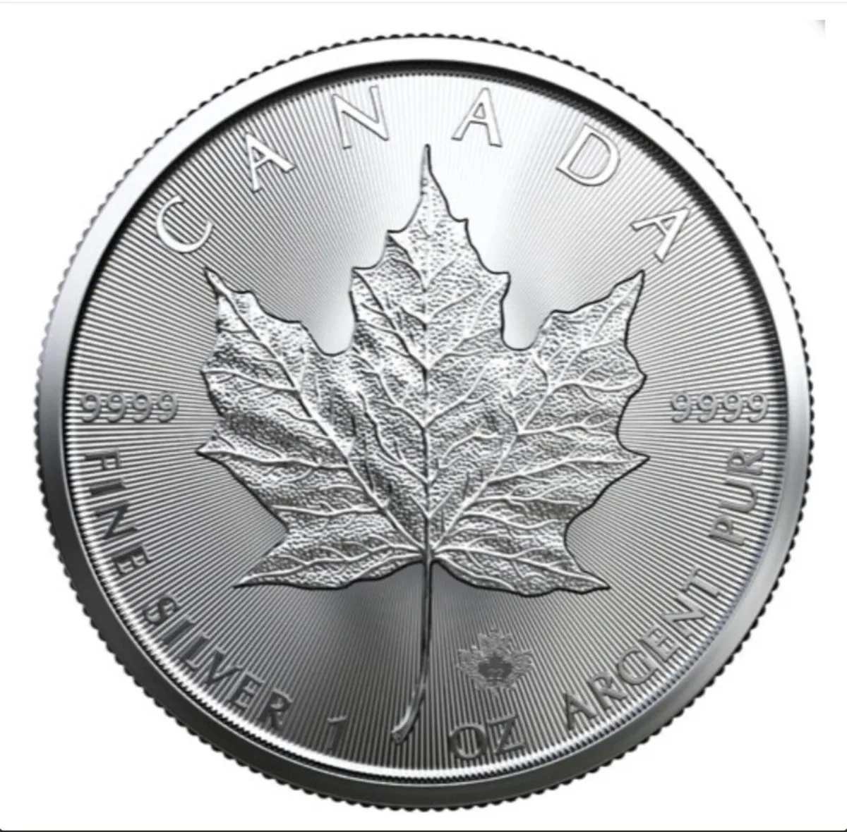 1oz Silver Maple Leaf (2022) - Security & Purity - Image 2
