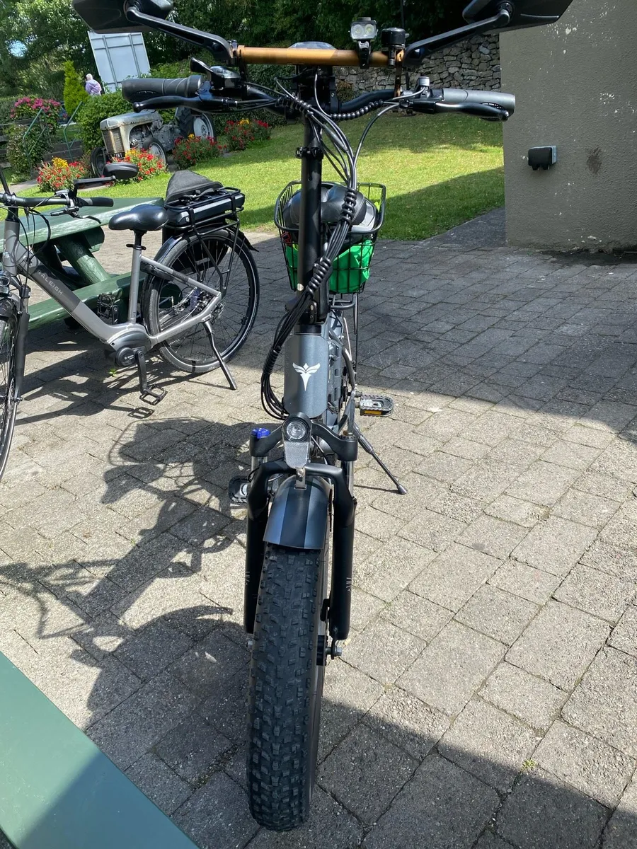 E bike - Image 2