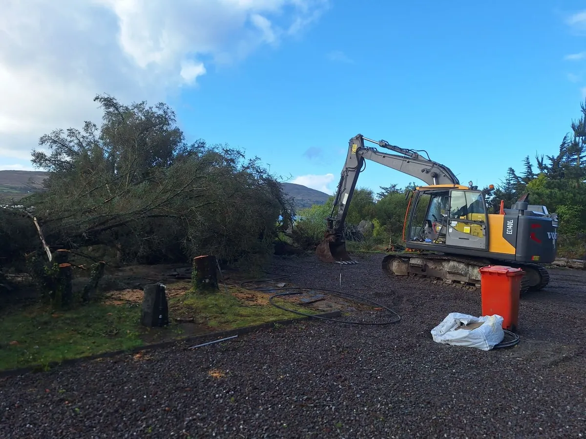 Mini digger hire Cork - Image 3