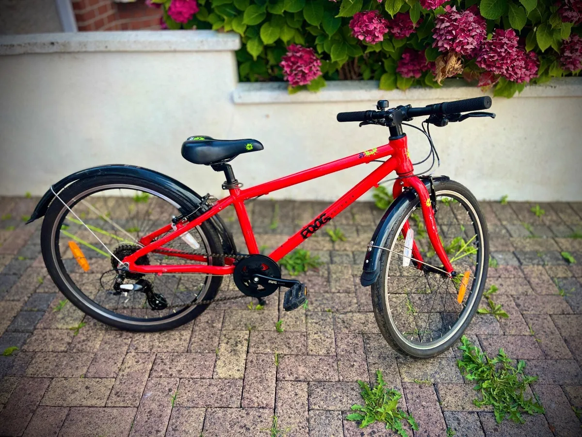 Frog Bike 62 - Image 1