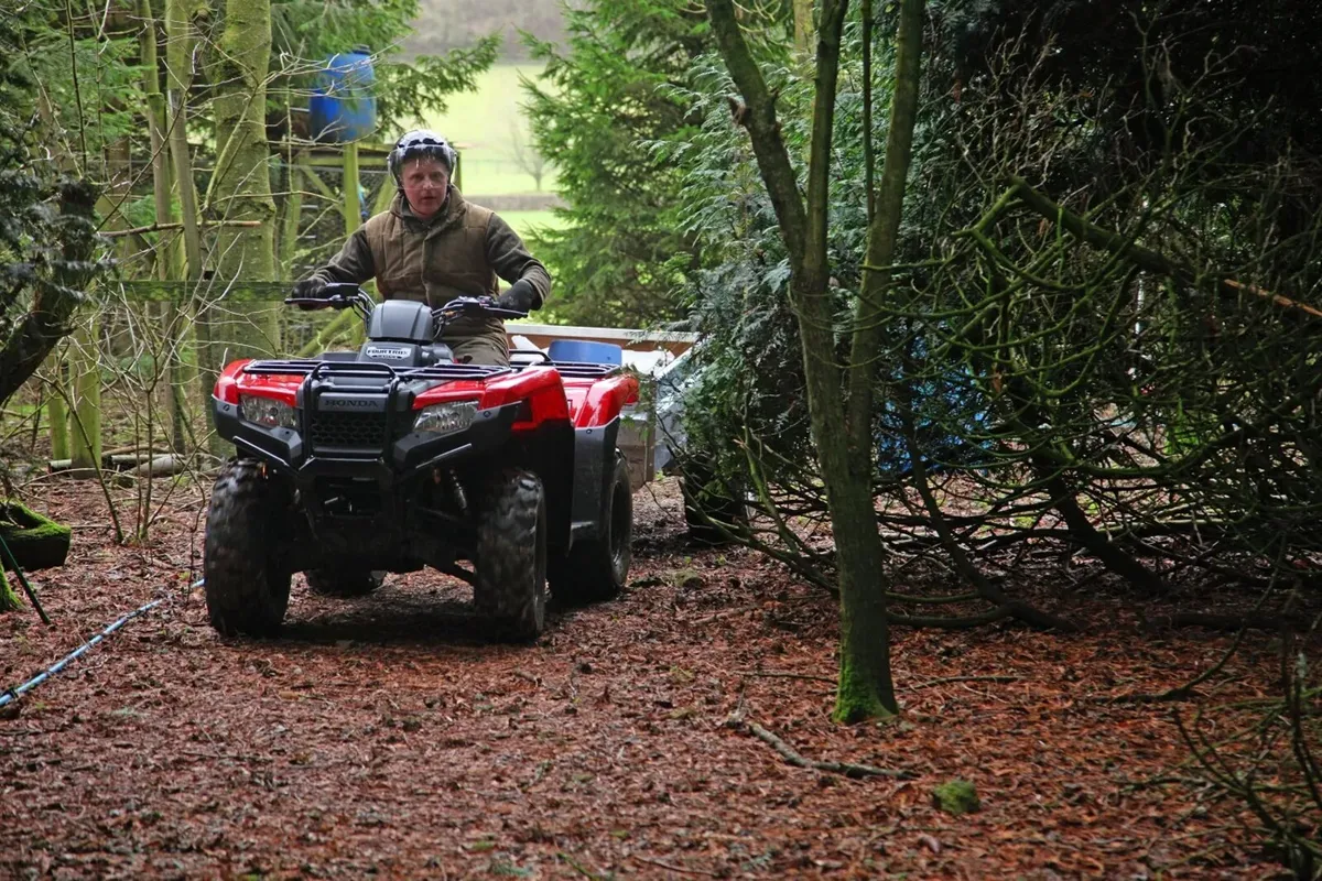 Honda TRX420FM Quad - Image 4