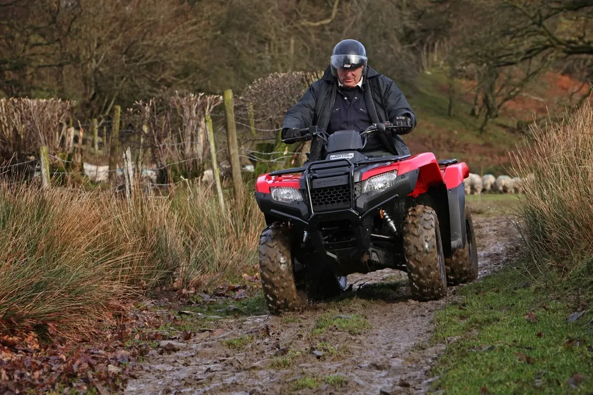 Honda TRX420FM Quad - Image 2