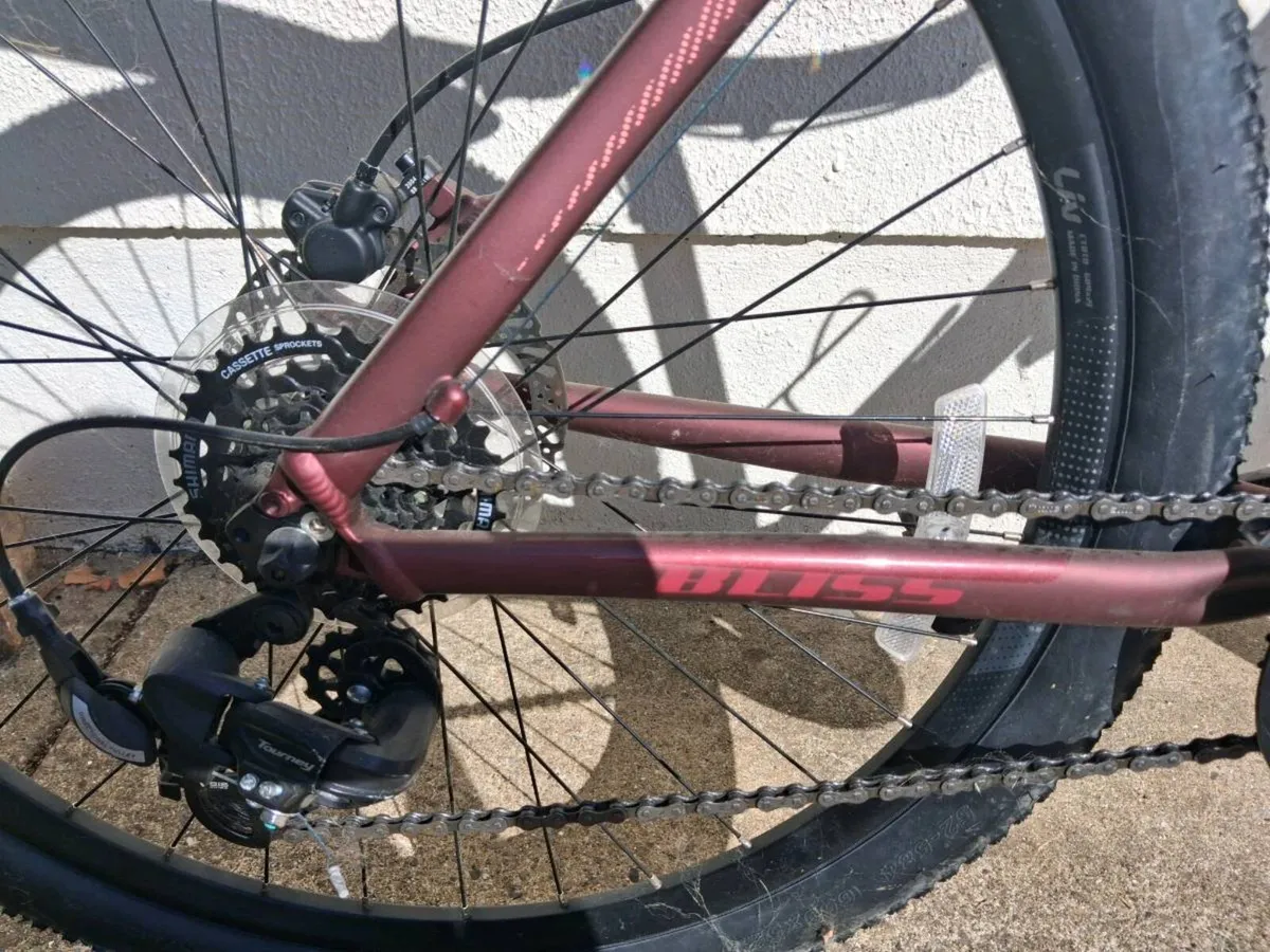 Giant Liv Mountain Bike - Image 2
