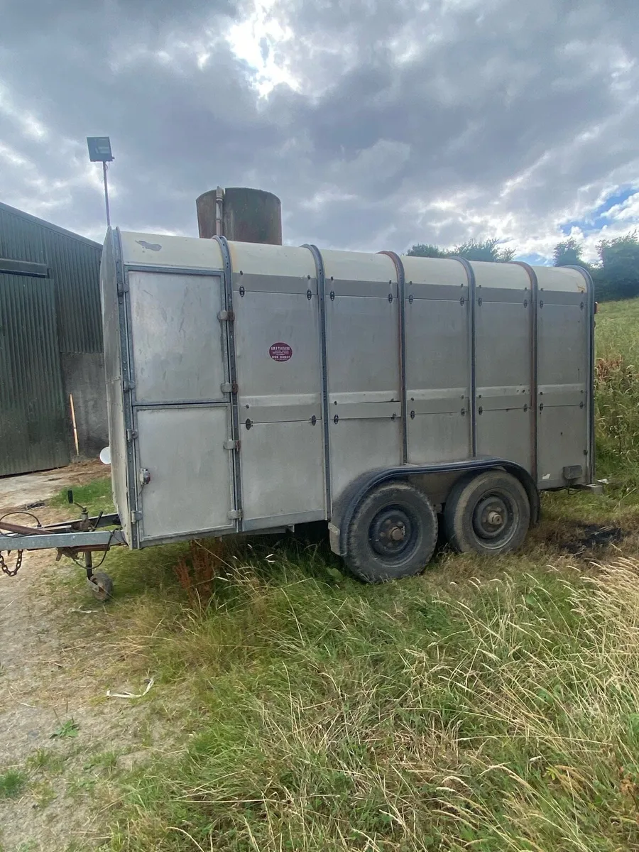 Ifor Williams cattle Trailer - Image 1