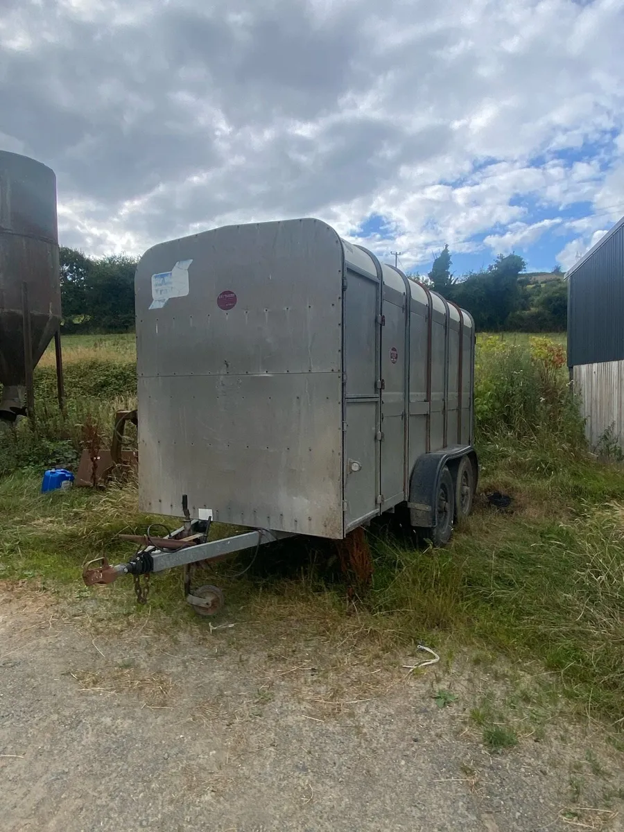 Ifor Williams cattle Trailer - Image 2