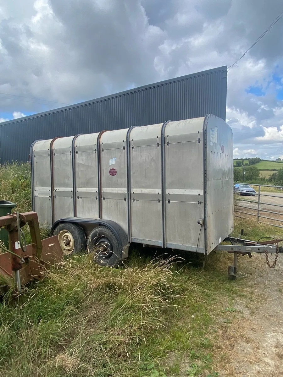 Ifor Williams cattle Trailer - Image 4