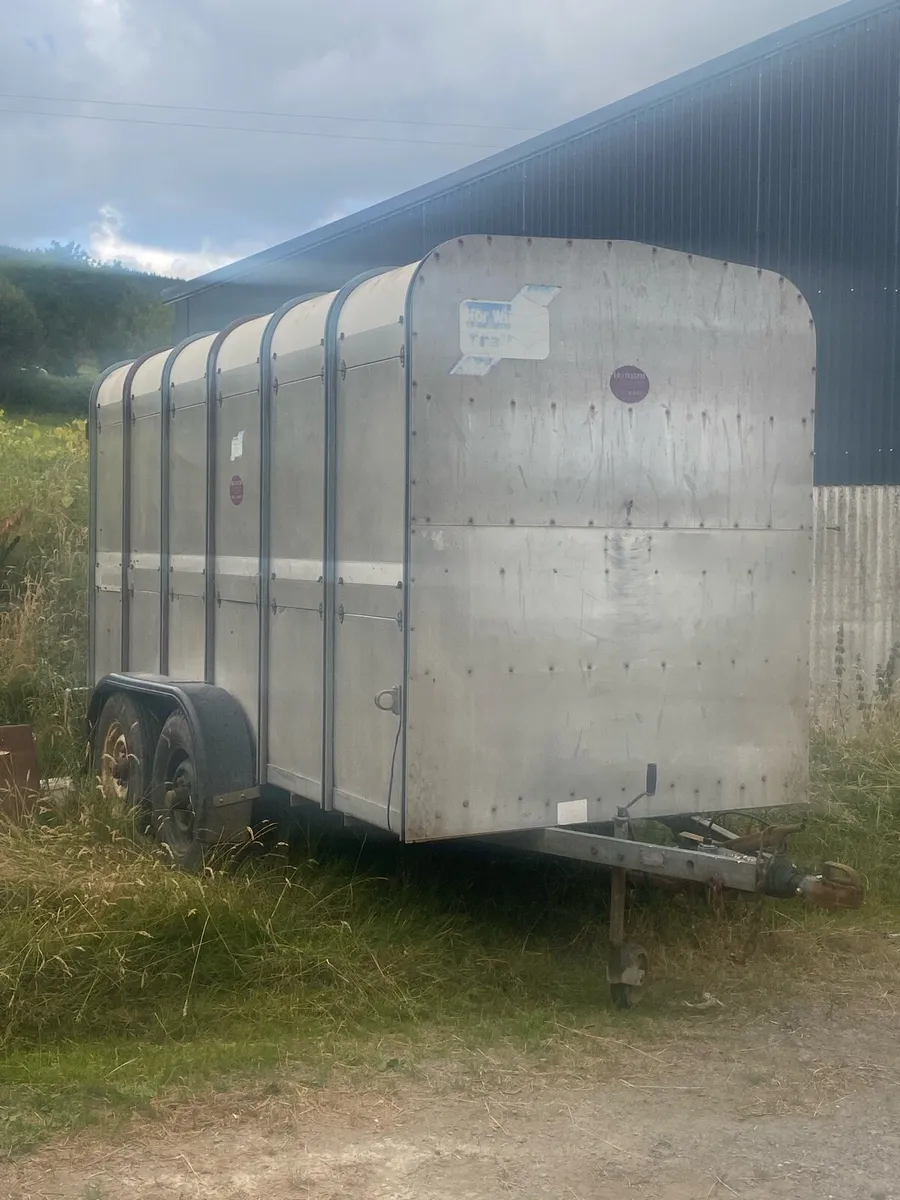 Ifor Williams cattle Trailer - Image 3