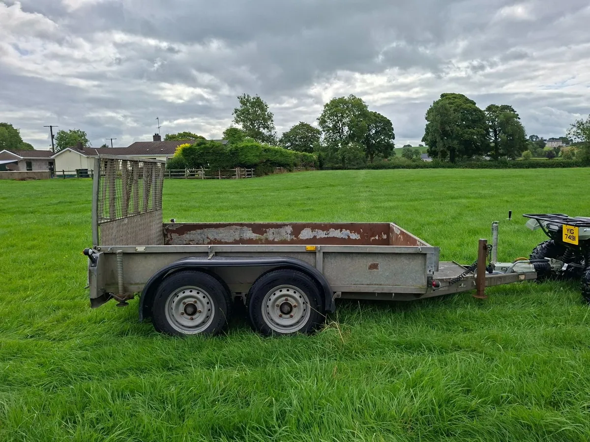 Iforwilliams plant trailer (priced to sell) - Image 3