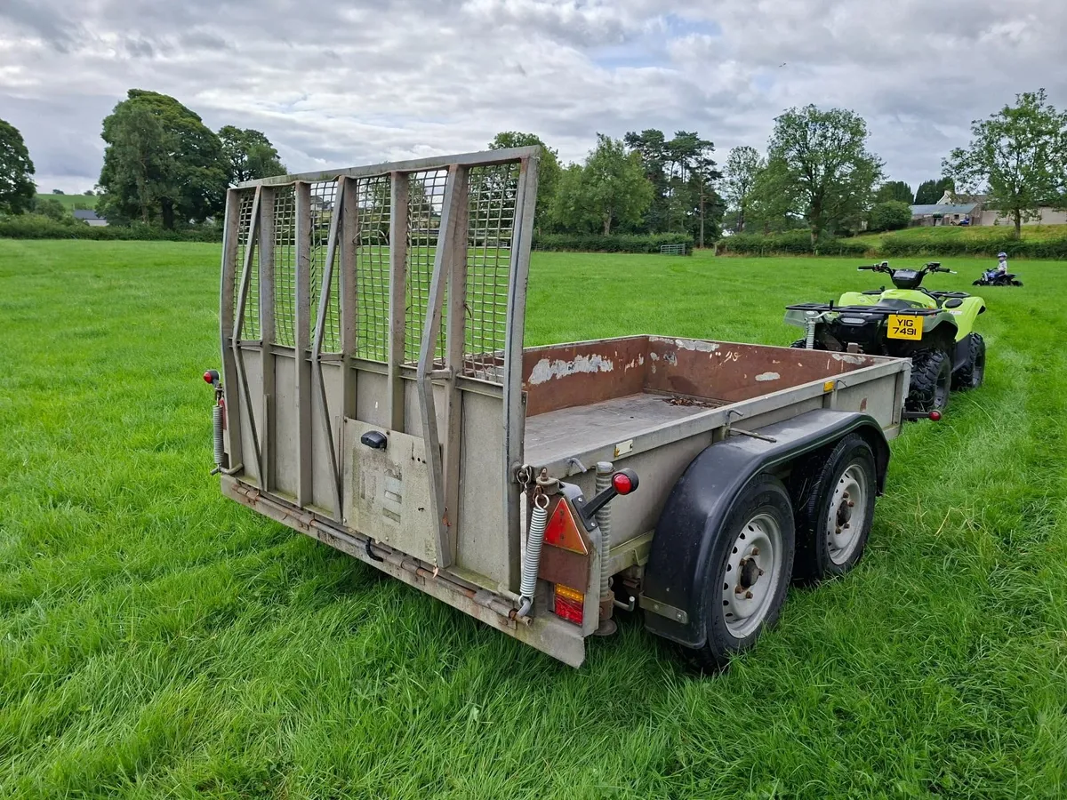 Iforwilliams plant trailer (priced to sell) - Image 4